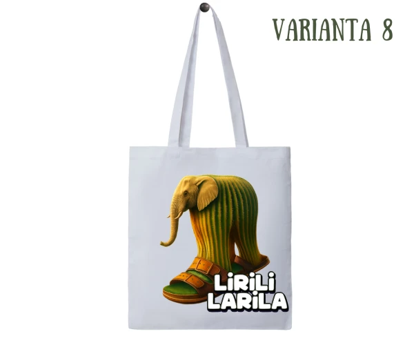 Varianta 8