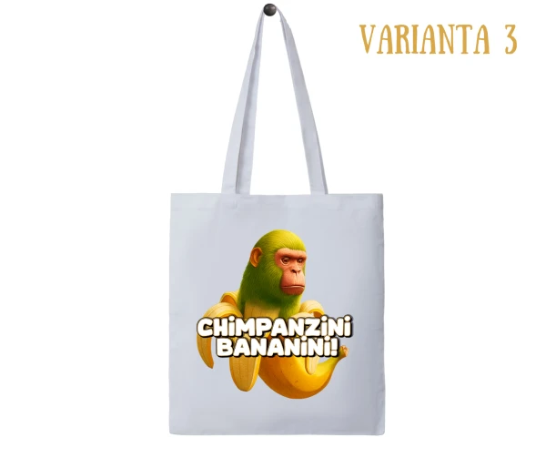 Varianta 3