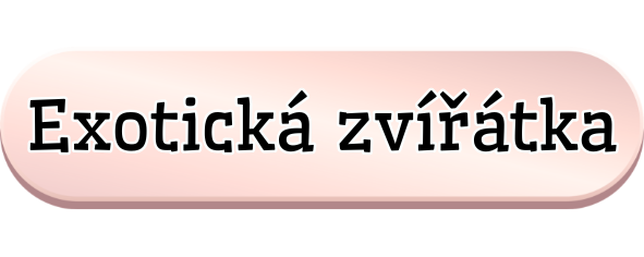 Exotická zvířátka